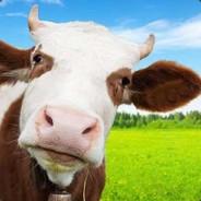 TM Vicezz's Stream profile image