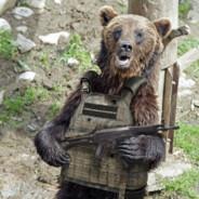 Guerilla Bear's Stream profile image