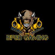 BFSD_Boss's Stream profile image