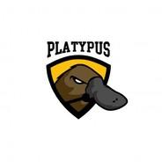 Platypus's Stream profile image