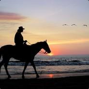 The Lone Vaquero's Stream profile image