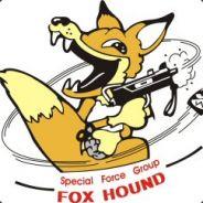 Fox Hound's Stream profile image