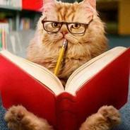 Cat_scientist's - Steam avatar