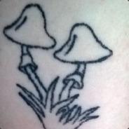 MuShROOM x0's Stream profile image