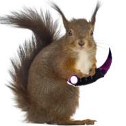 engry squirl's Stream profile image