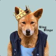 KingDingo's - Steam avatar