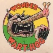 WonderWarthog's - Steam avatar