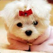 ROOOO's - Steam avatar