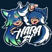 Hara24's - Steam avatar