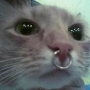 DSLG | Berny's - Steam avatar