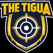 TheTigua's Stream profile image