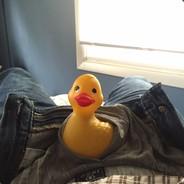 Unsolicited Duck Pics's - Steam avatar