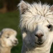 Llamas are Real's Stream profile image