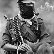 Subcomandante Marcos's Stream profile image