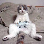 BusinessCat's - Steam avatar