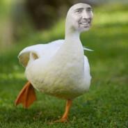 Pato Gaiola's Stream profile image