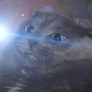 BlueFeesh's Stream profile image