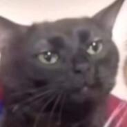 Academy's Stream profile image