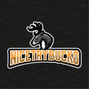 NiceTryBuck0's Stream profile image