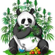 PANDA's - Steam avatar