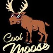 coolmoose101's Stream profile image