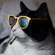 ciaroVit's Stream profile image