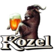 Kozel11's Stream profile image