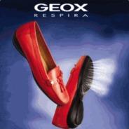 GEOX der Schuh der atmet.'s - Steam avatar