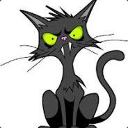 An Angry Cat's Stream profile image