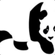 mukBUBBA's - Steam avatar