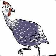 Pintade Mouvante's Stream profile image