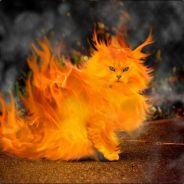 spitfireheat's Stream profile image