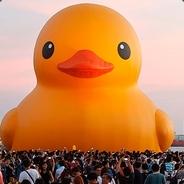 patito de hule's - Steam avatar