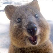 Quokka's - Steam avatar