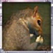 Naphtali14's Stream profile image