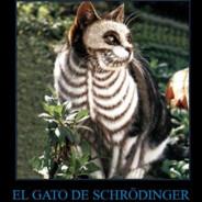 El gato de Schrödinger's Stream profile image