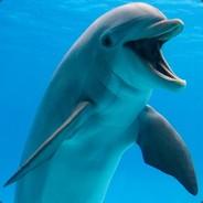 Dolphin's - Steam avatar