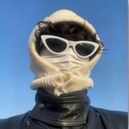 AK又白给了's Stream profile image