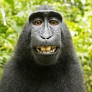 The_Bluub's Stream profile image