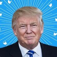 CallMeTheTrump's - Steam avatar