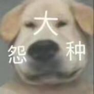 一枪爆你狗头·'s Stream profile image