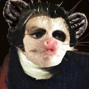 Opossum lad's - Steam avatar