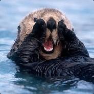 Ottertracks's Stream profile image