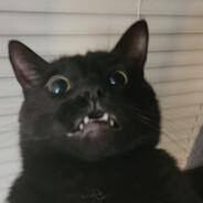 Conqueeftador's Stream profile image