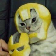 LemonCat's Stream profile image