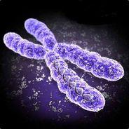 Extra Chromosome's Stream profile image