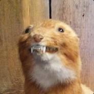 Weasel Words's - Steam avatar