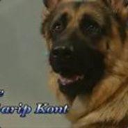 Cicikuş's - Steam avatar