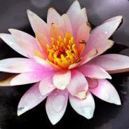 这样的傑's - Steam avatar