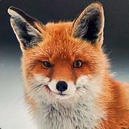 Crazy's Stream profile image